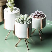 1Set Nordic Style Ceramic Iron Art Vase Minimalism Flower Vases Home Decoration Green Plant Flowerpot Coffeehouse OfficeRoom