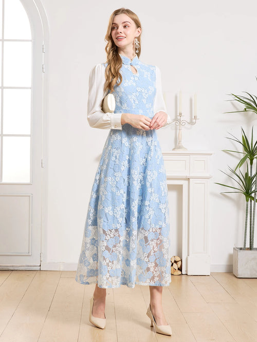 Elegant Lace Party Dress