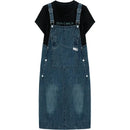 Plus Size Denim Dress
