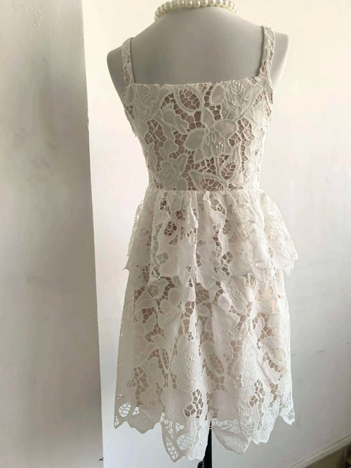 Embroidery Lace Party Dress