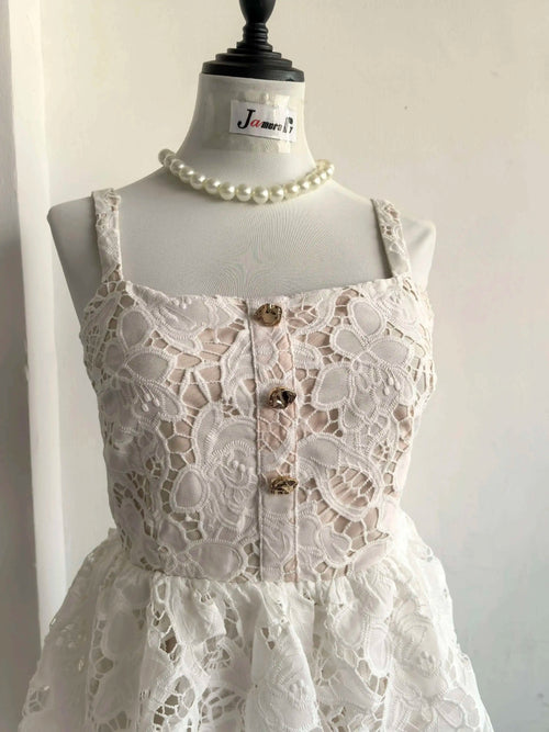 Embroidery Lace Party Dress