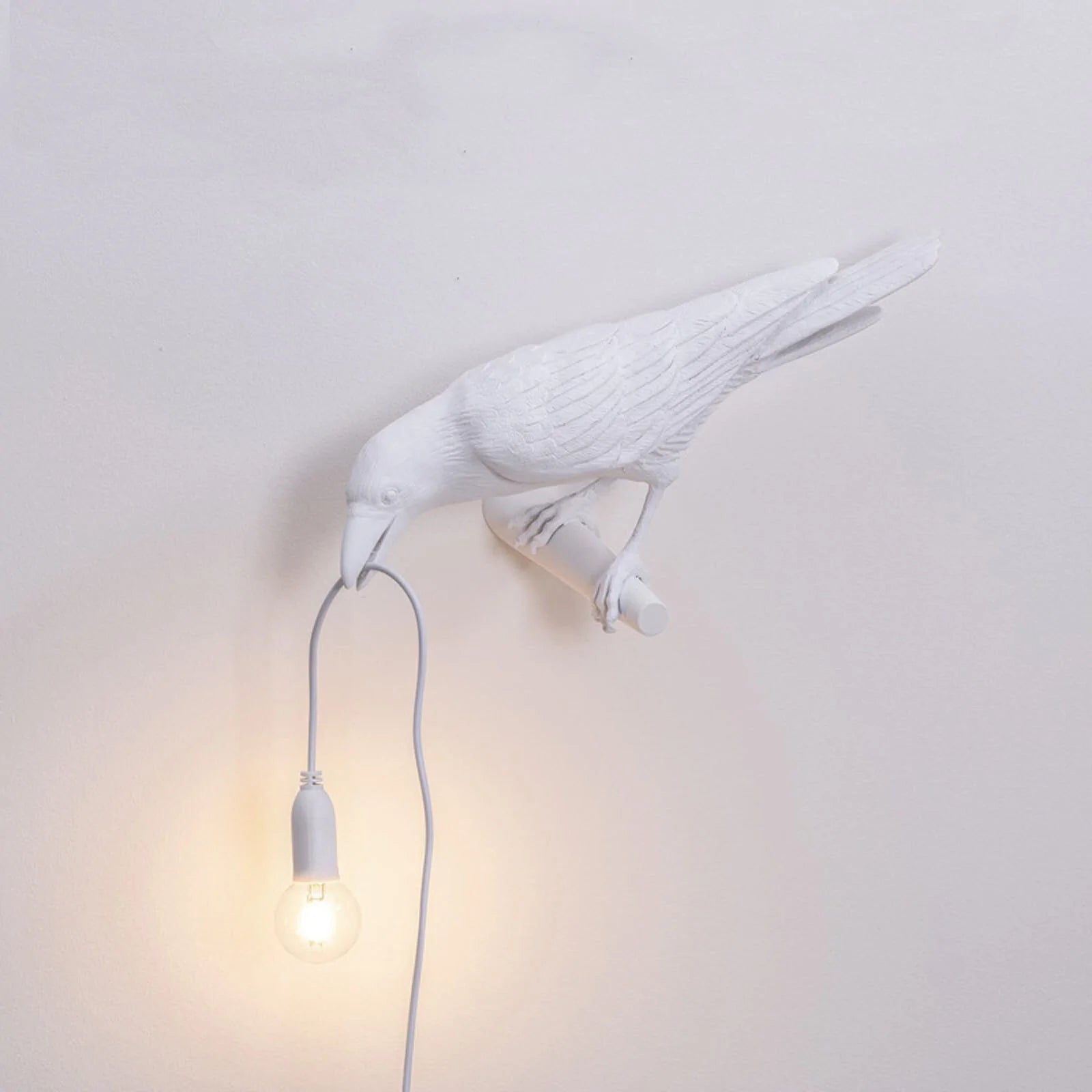 US Plug 1